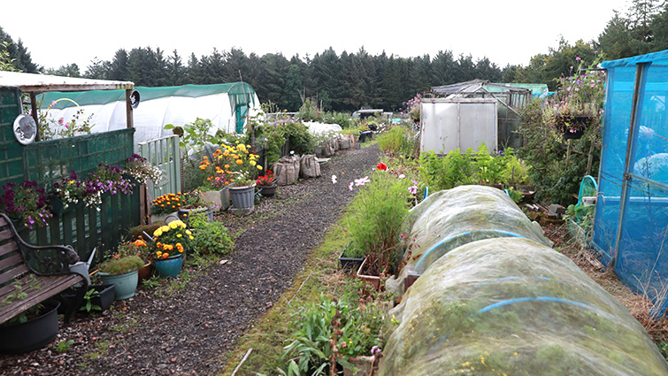 Allotment sites proposed for the Hamilton area