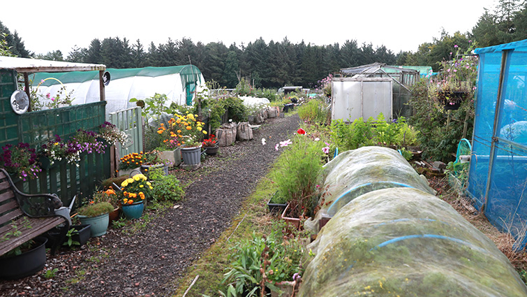 Allotment sites proposed for the Hamilton area