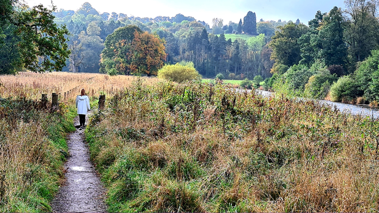 A view of rural Clydesdale countryside with a person walking down a path. 