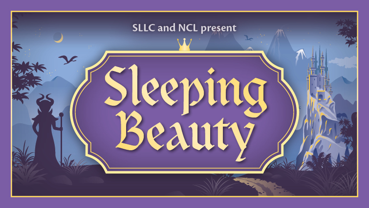 Sleeping Beauty panto banner 