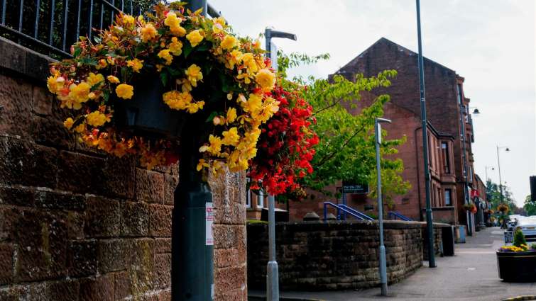 hanging baskets in Uddingston