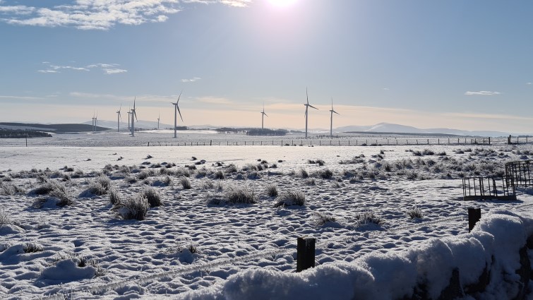 This image shows a rural landscape in winter with wind turbines in the background 