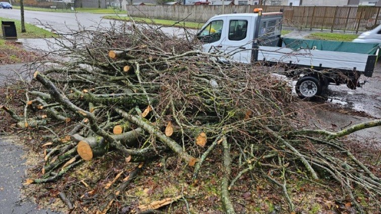 fallen tree chopped up ready to be taken away in council vehicle